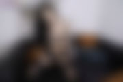 siren-horny-date-103.jpg