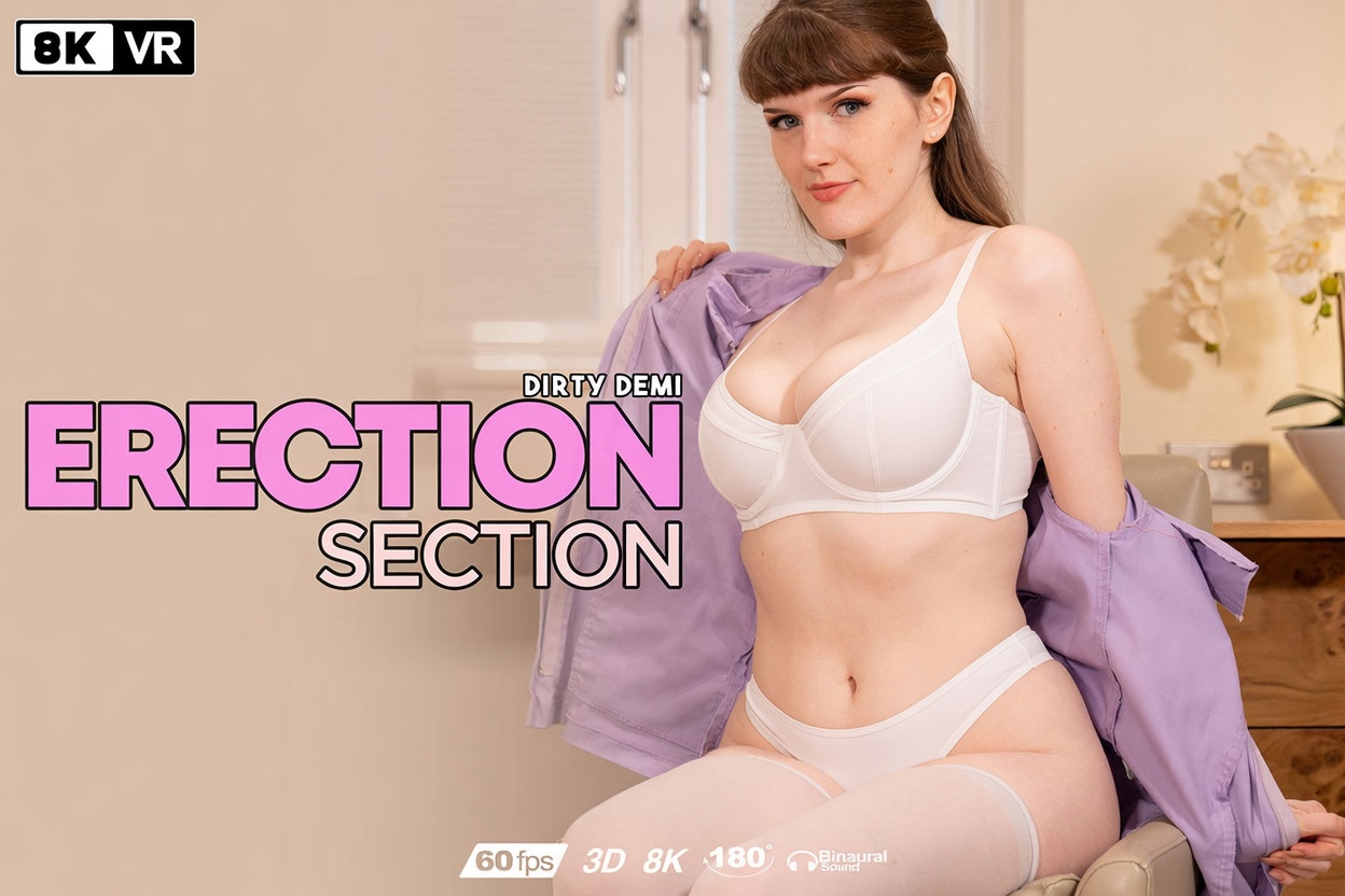 Erection Section