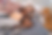 wankitnowvr-917.jpg